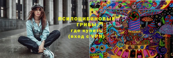 МДПВ Белокуриха