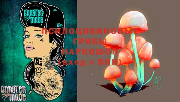 МДПВ Белокуриха