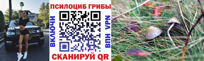 Галлюциногенные грибы MAGIC MUSHROOMS  хочу   Звенигово 
